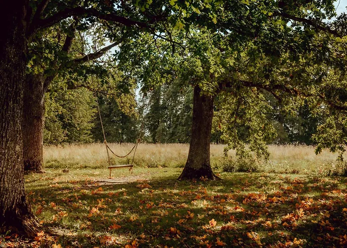 Bed & Breakfast Mois
